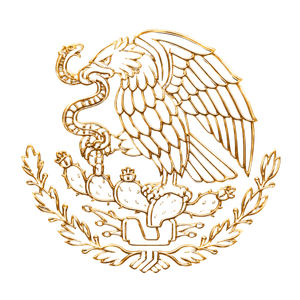 Icon 1
